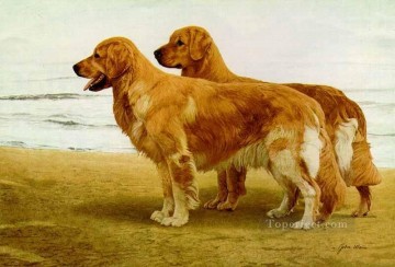 ami0034D1 動物 犬 Oil Paintings